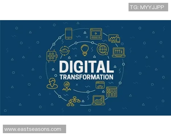 北京足球队的蜕变之旅：从传统强队到现代精英赛的全面转型探索