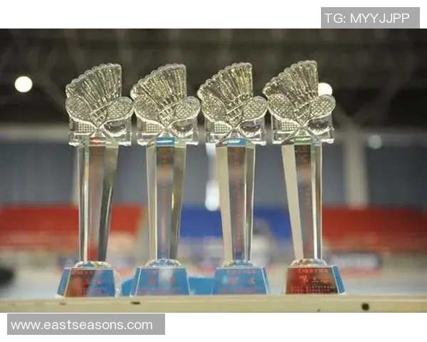 武汉羽毛球队速度之美大满贯点评展现竞技魅力与团队协作精神